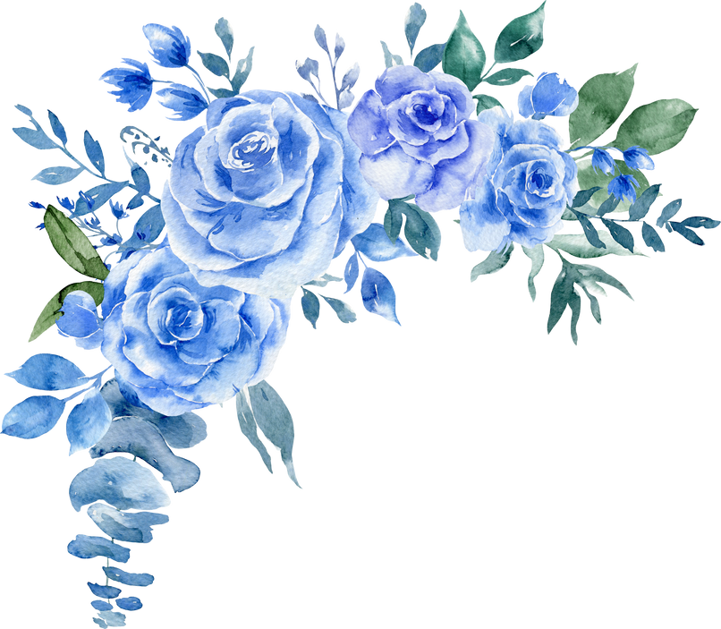 Watercolor Rose flower Bouquet. Blue Roses illustration.